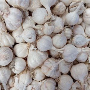 দেশী রসুন